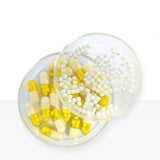 Fenofibrate Choline Sustained-Release Capsules